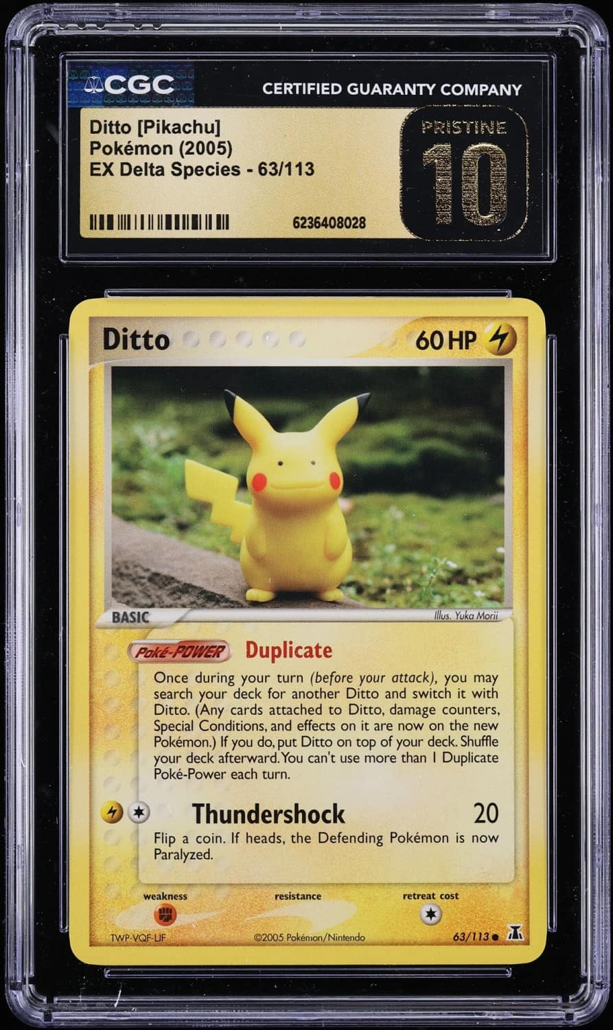 Ditto [pikachu]