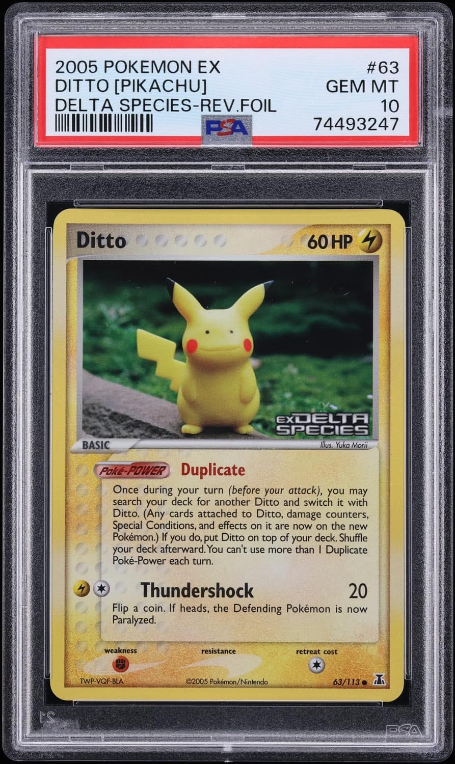 Ditto [pikachu]