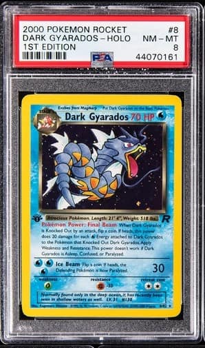 Dark Gyarados