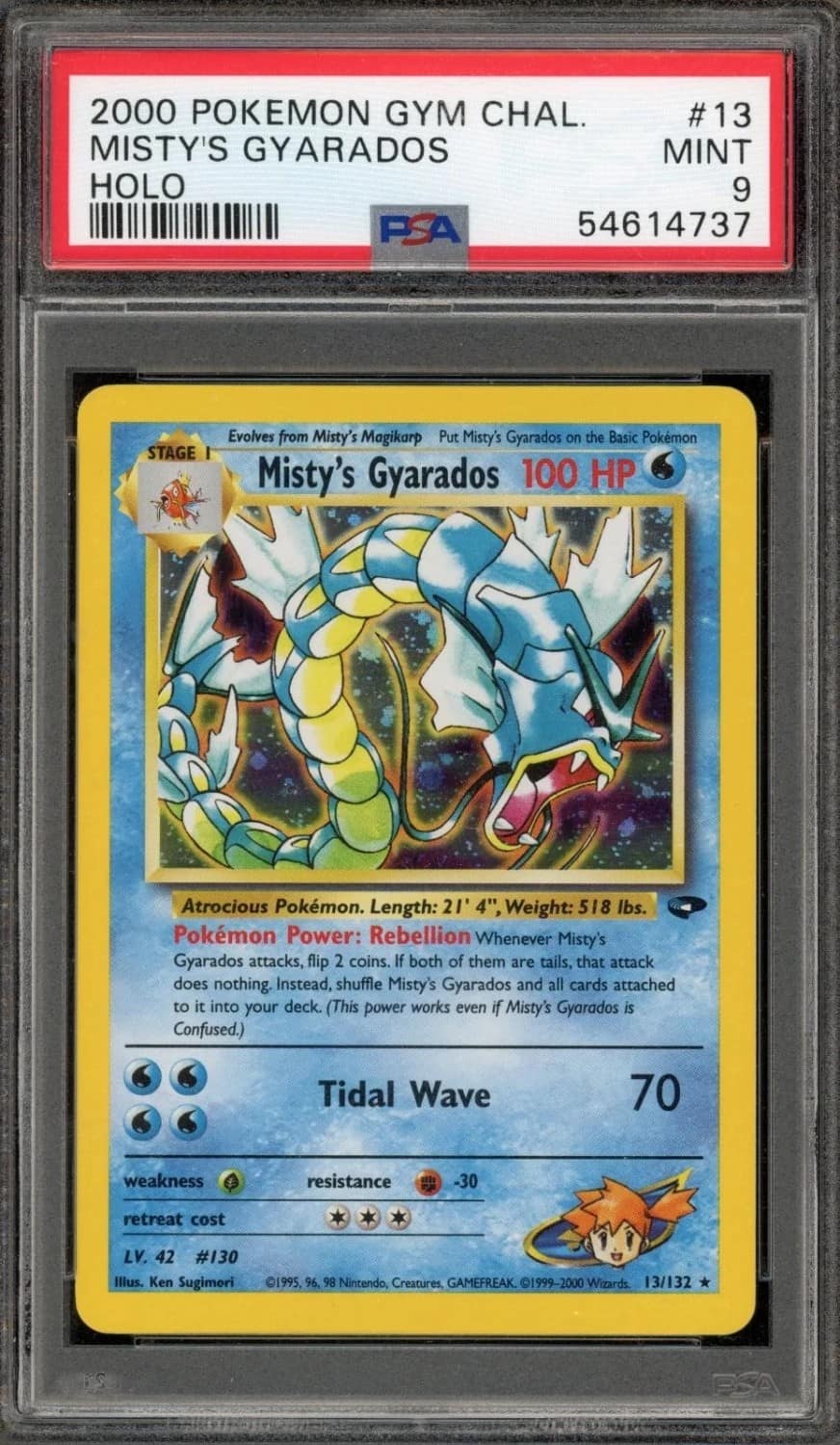 Misty'S Gyarados