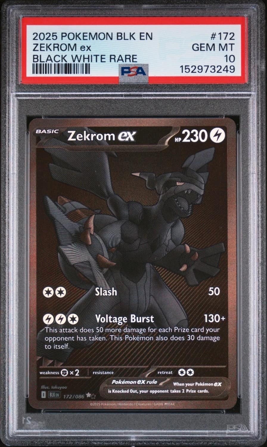 Zekrom Ex