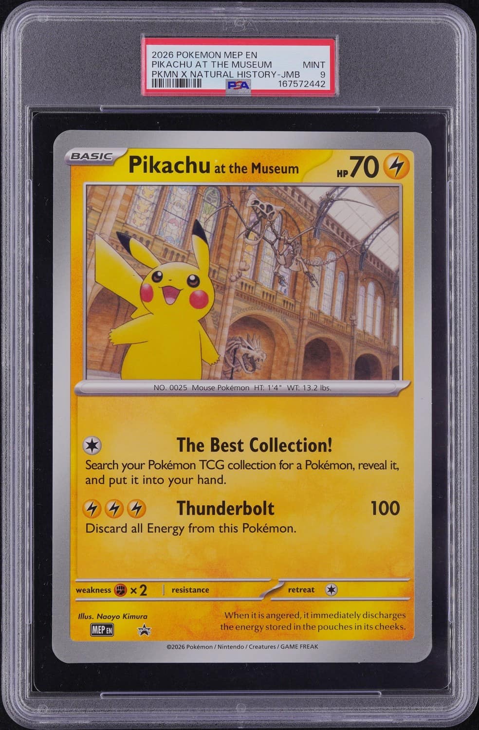 Pikachu At The Museum