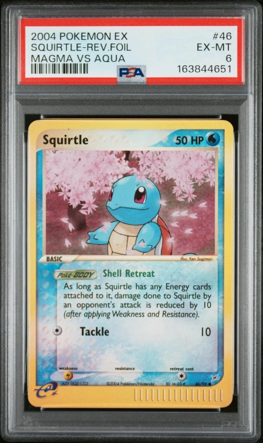 Squirtle