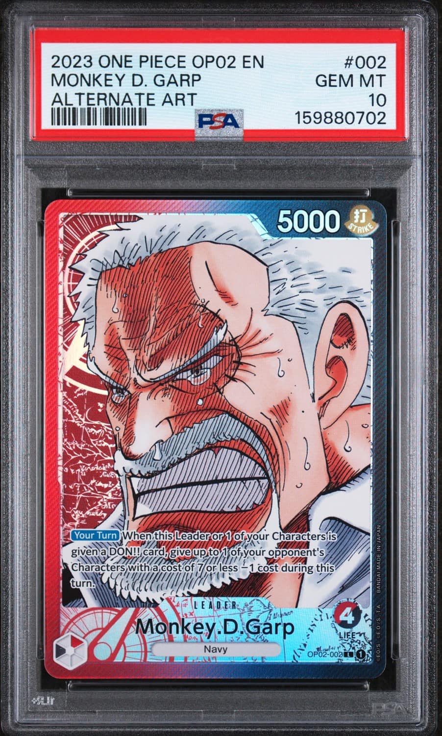 Monkey D. Garp
