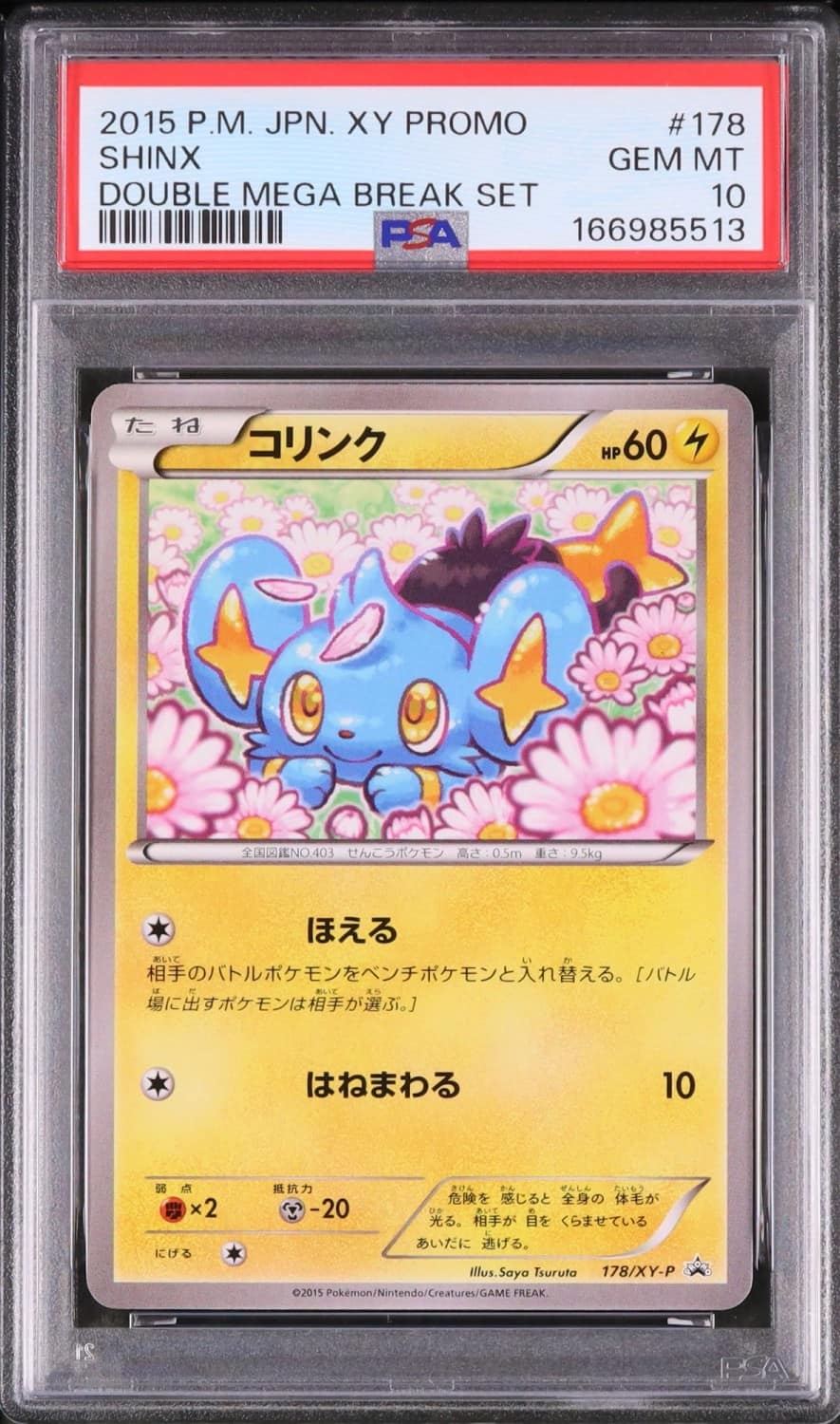 Shinx