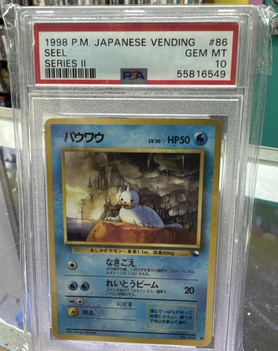 Seel