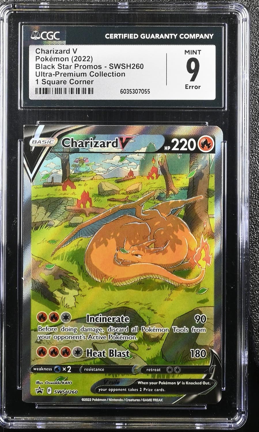 Charizard V