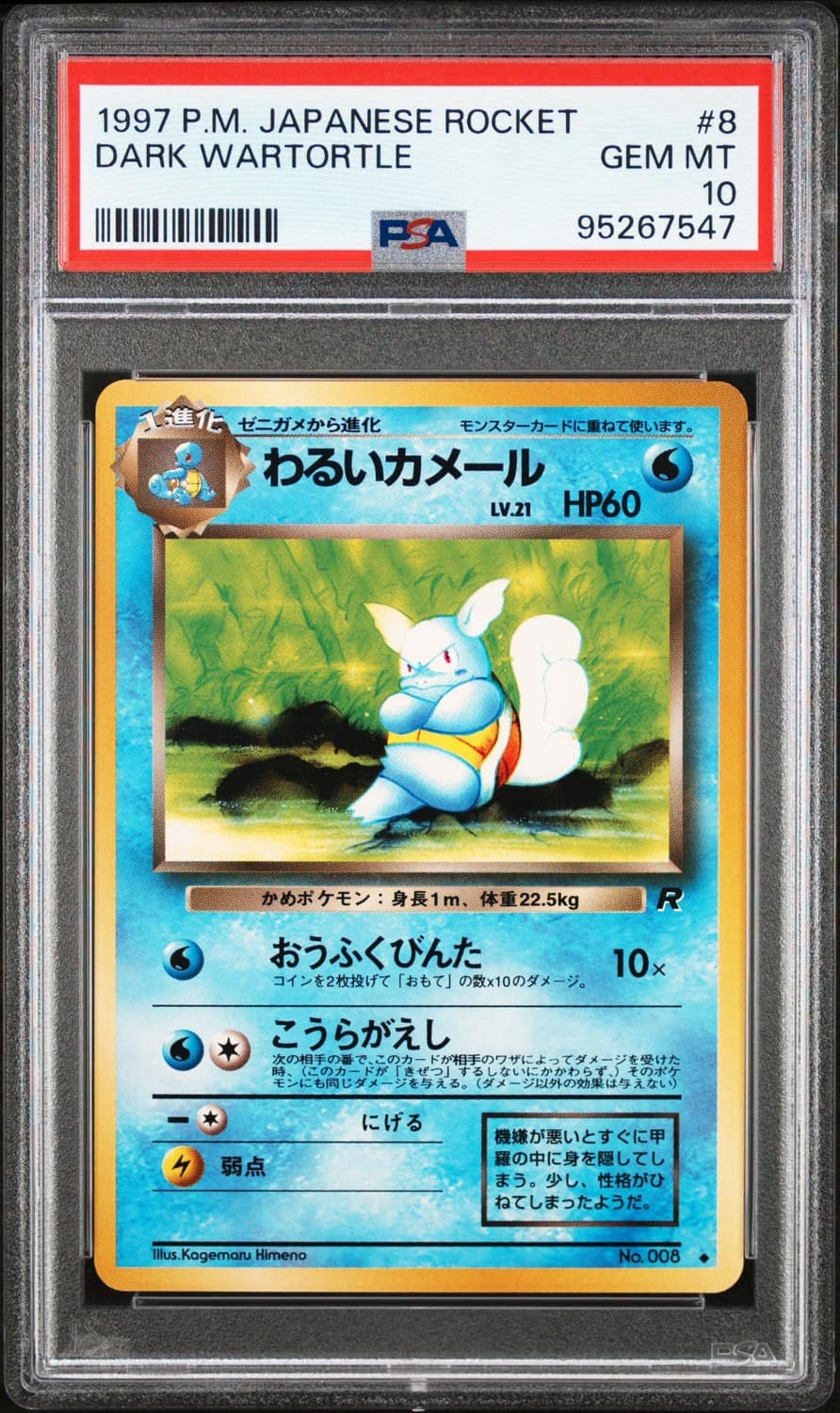 Dark Wartortle