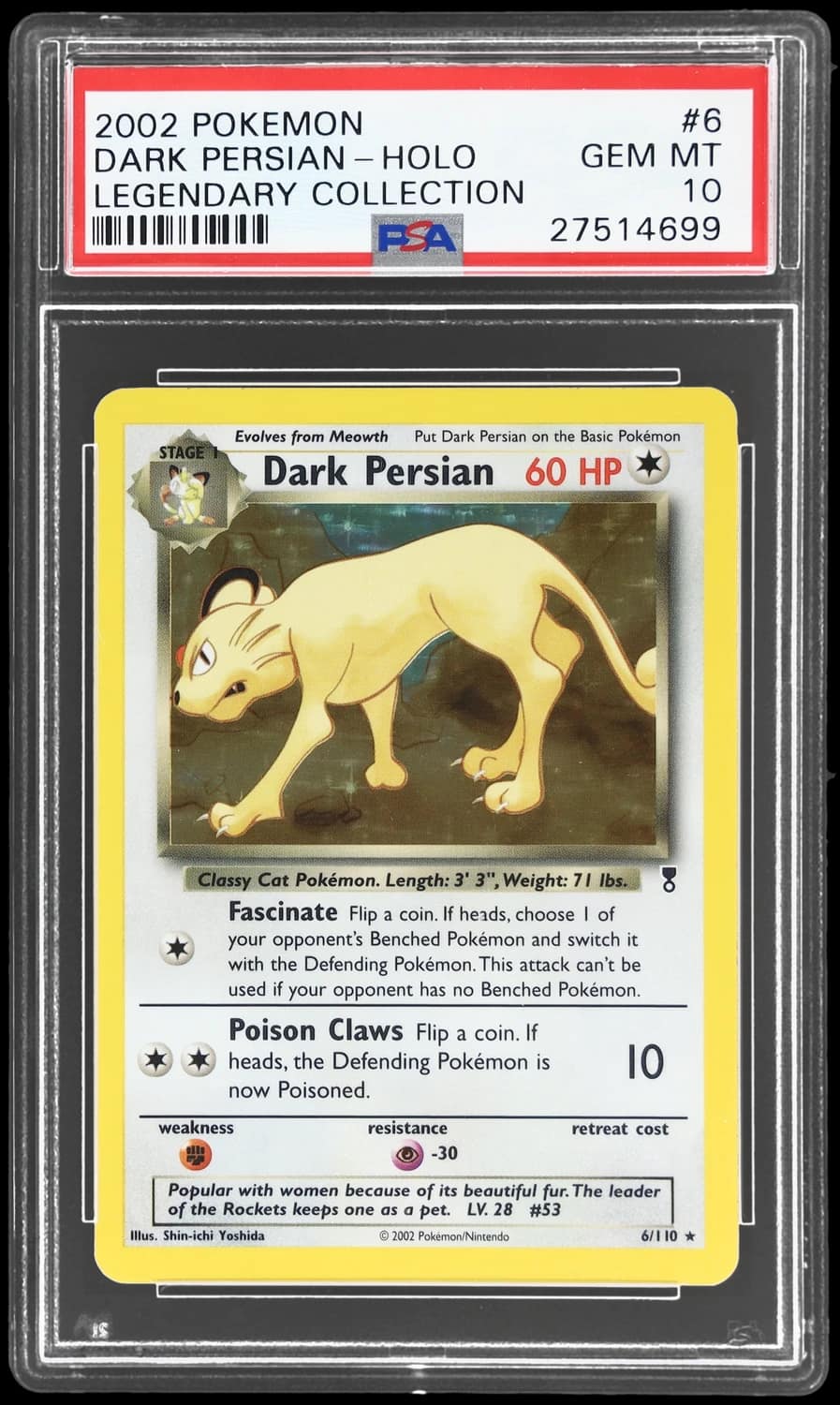 Dark Persian