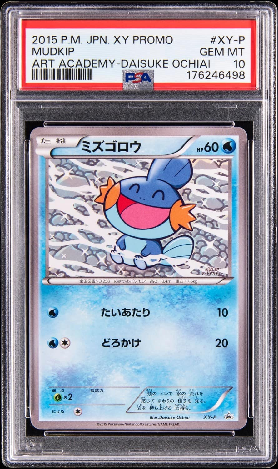 Mudkip
