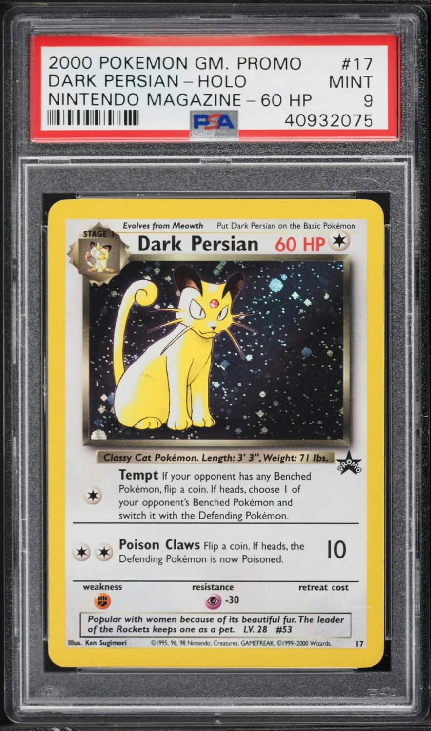Dark Persian
