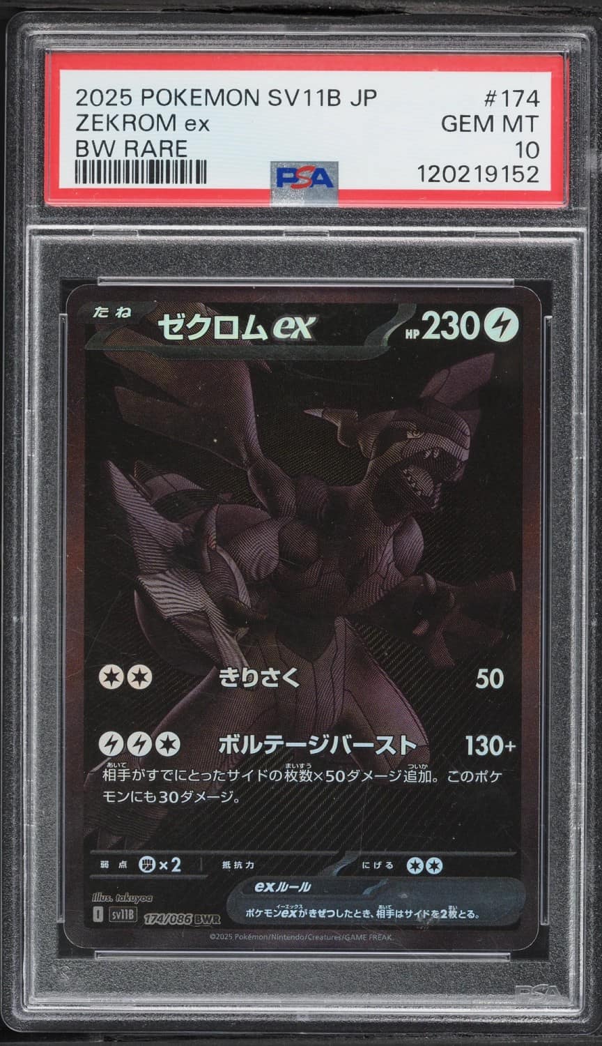 Zekrom Ex