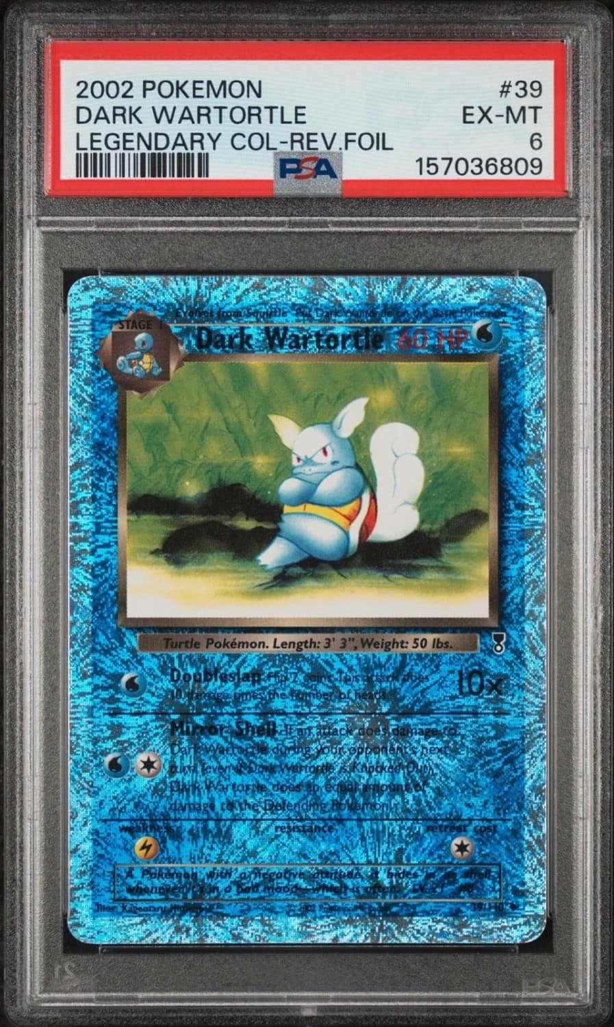 Dark Wartortle