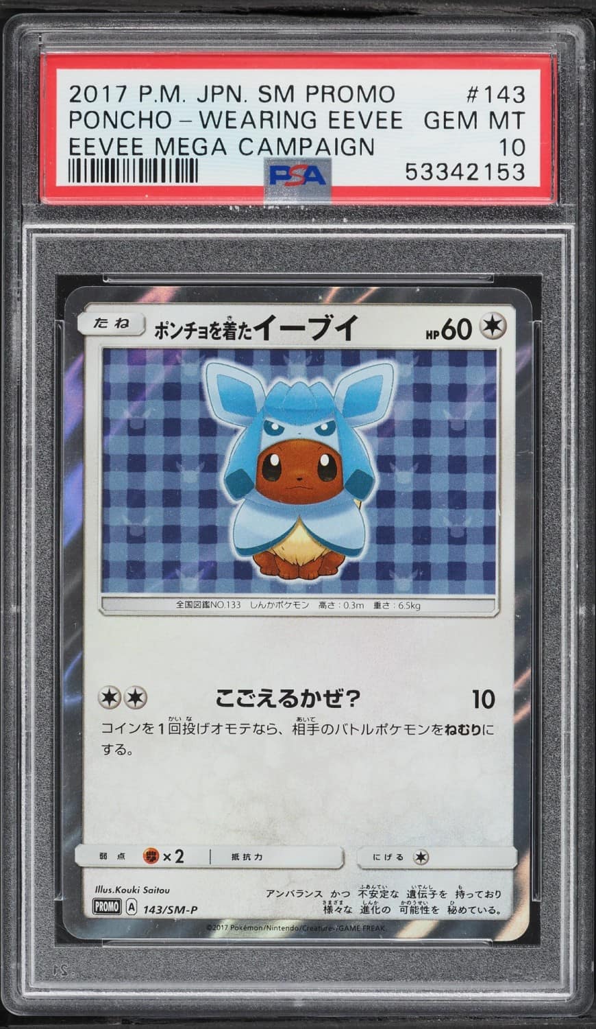 Poncho-Wearing Eevee