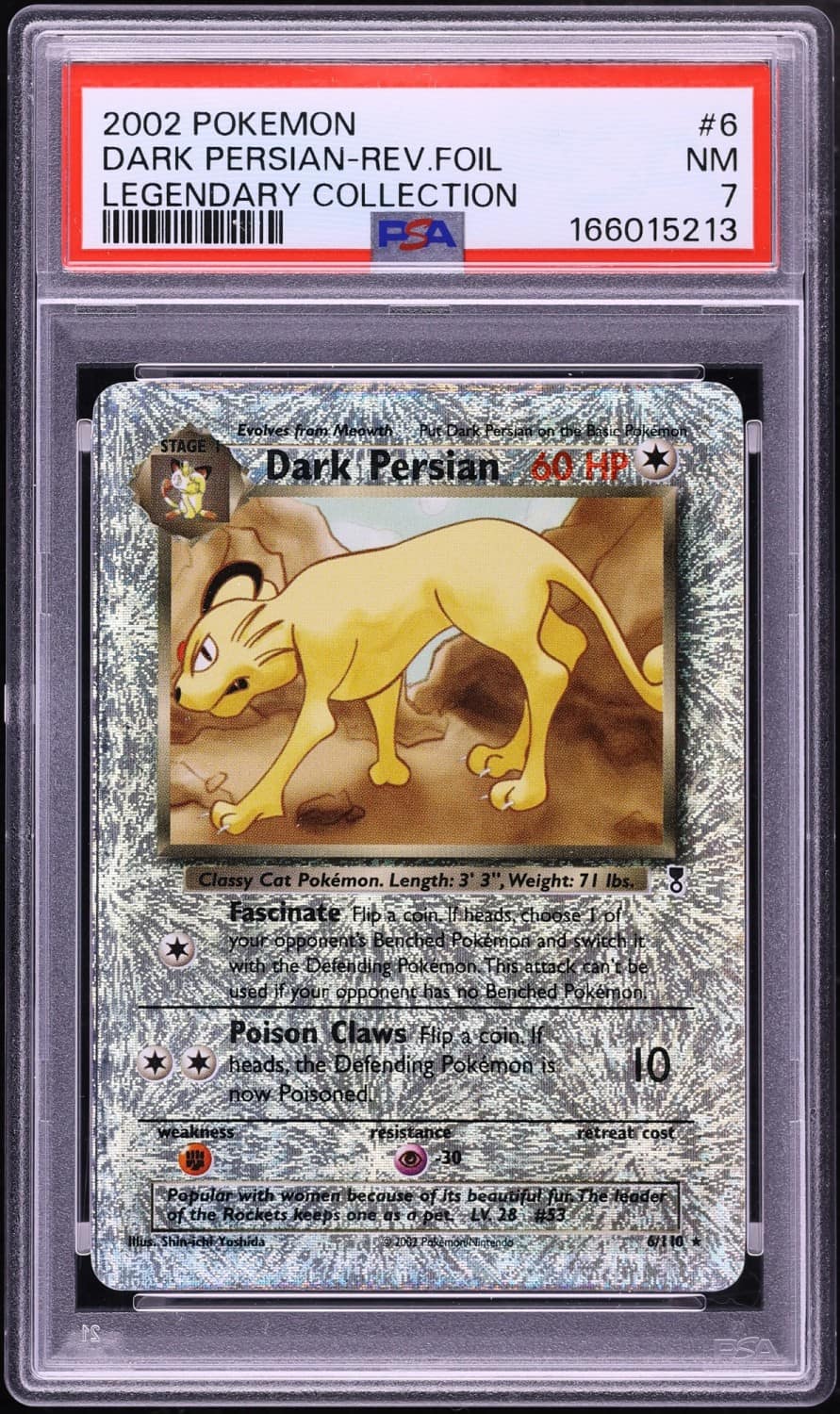 Dark Persian