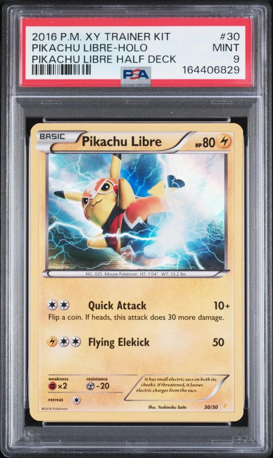 Pikachu Libre