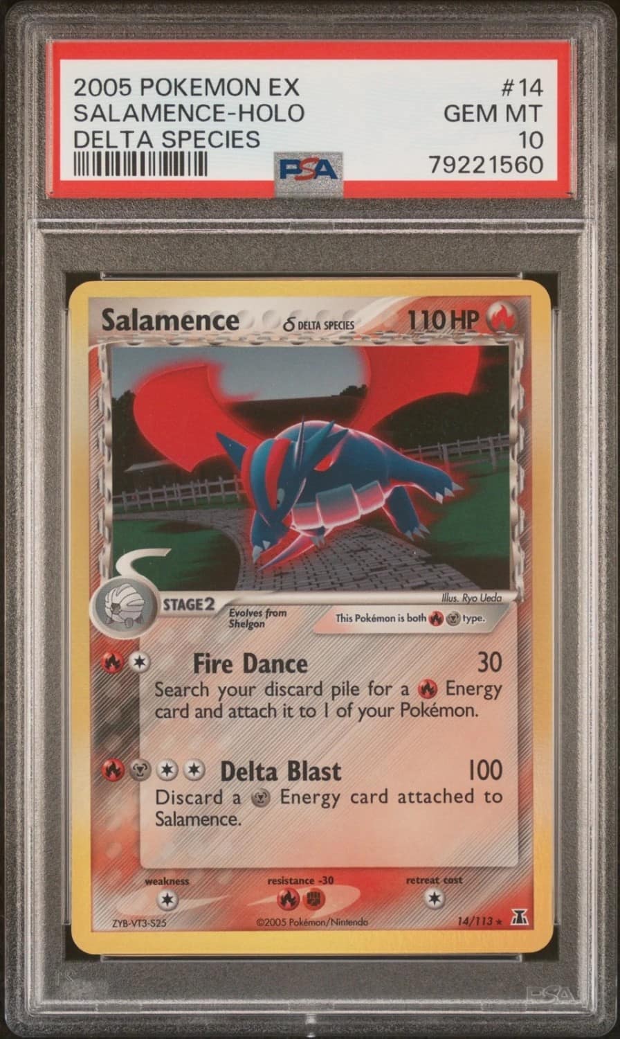 Salamence