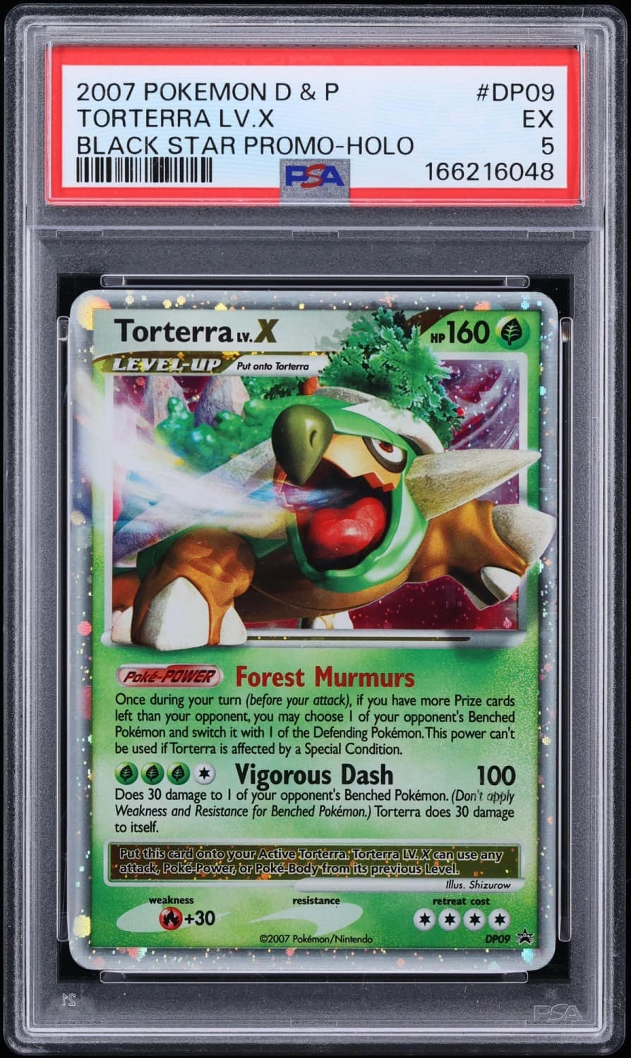 Torterra Lv X