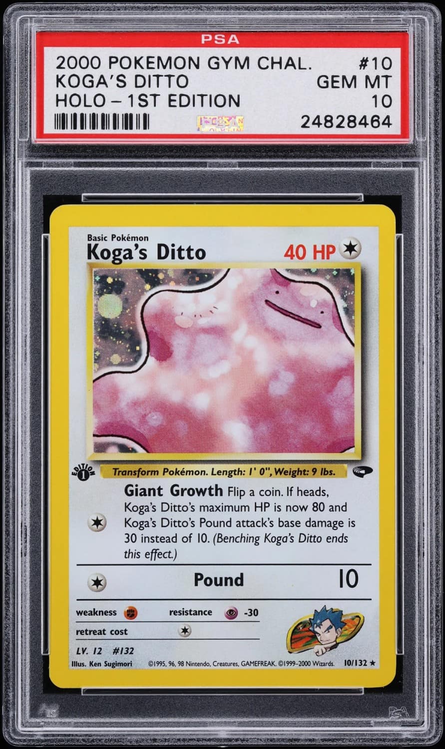 Koga'S Ditto
