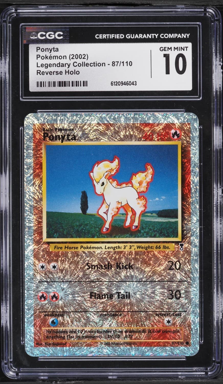 Ponyta