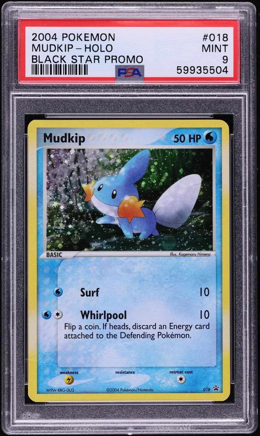 Mudkip