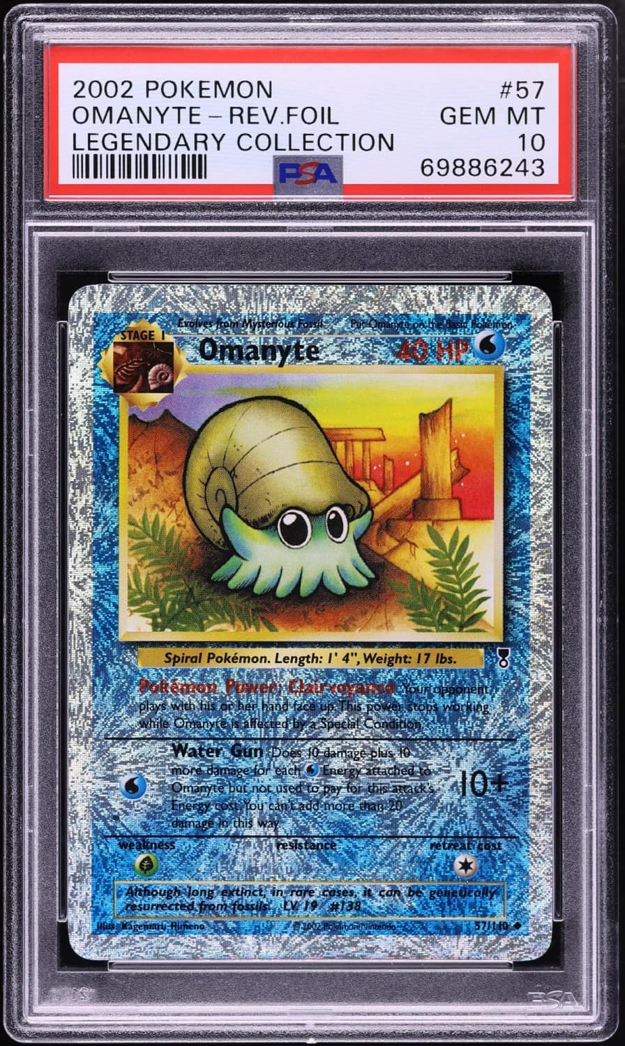 Omanyte
