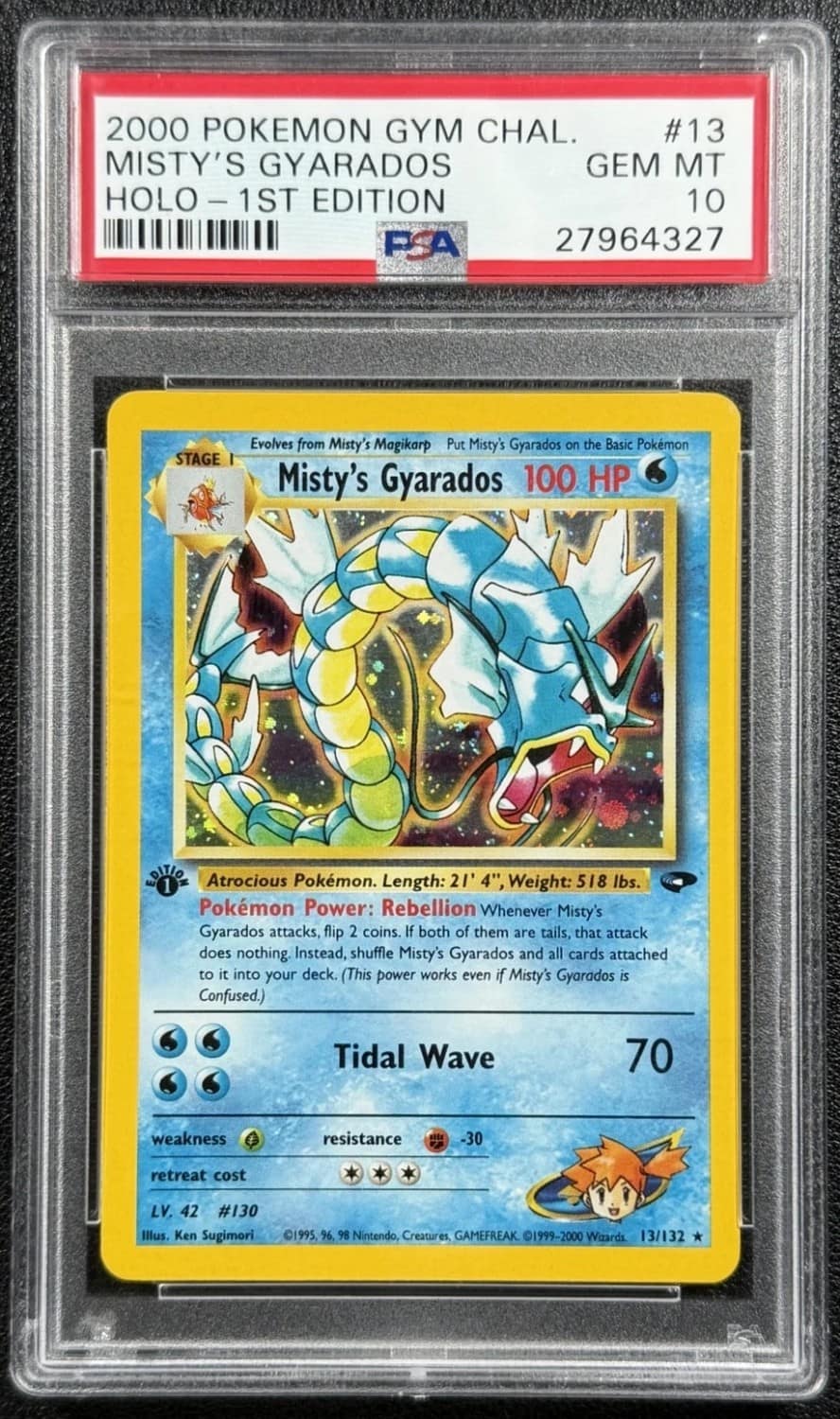 Misty'S Gyarados