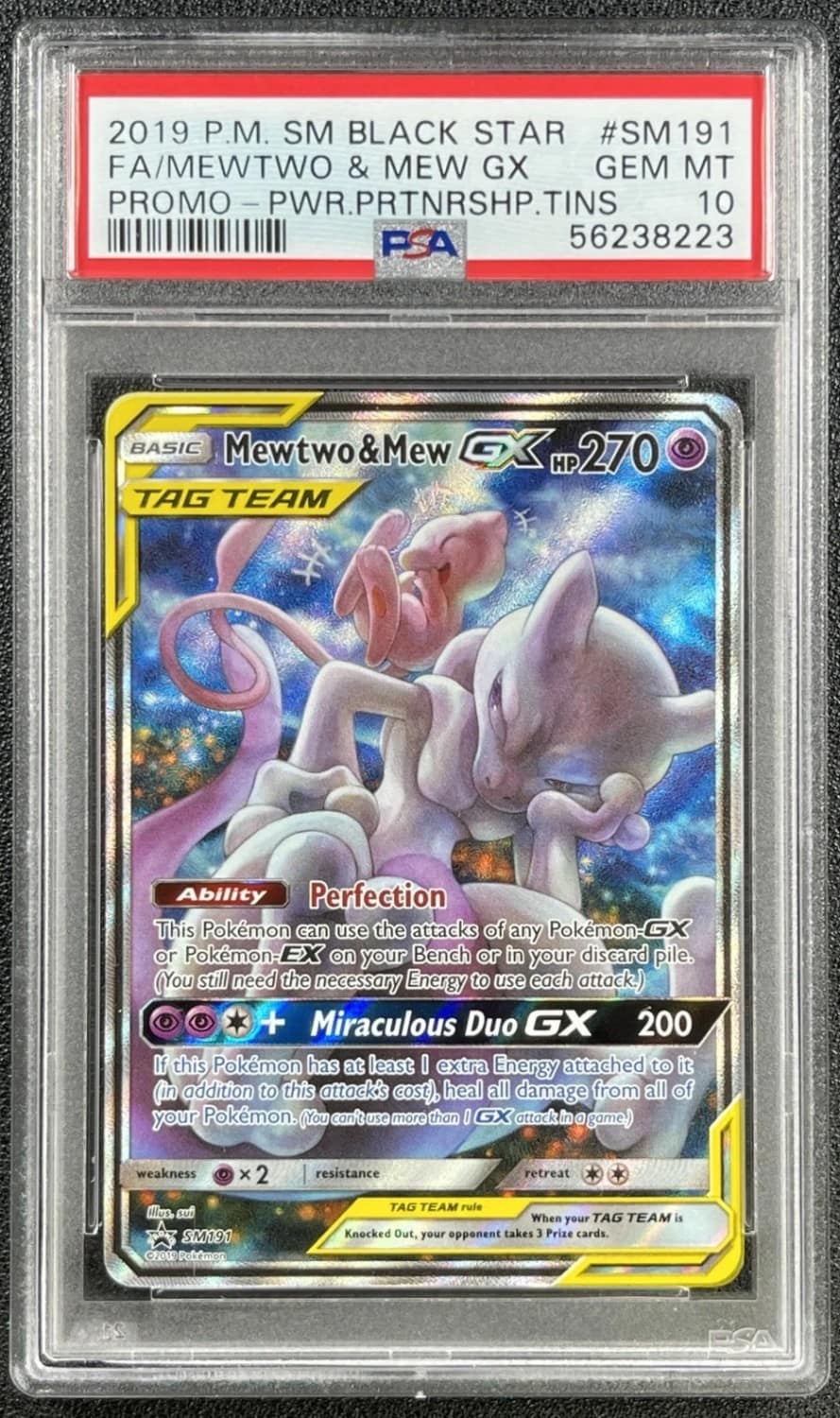 Mewtwo & Mew Gx