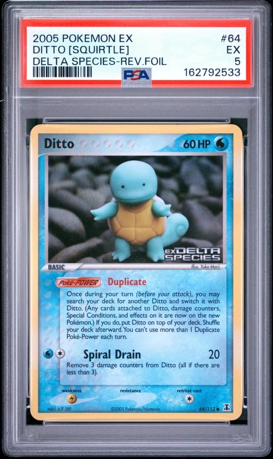 Ditto [squirtle]