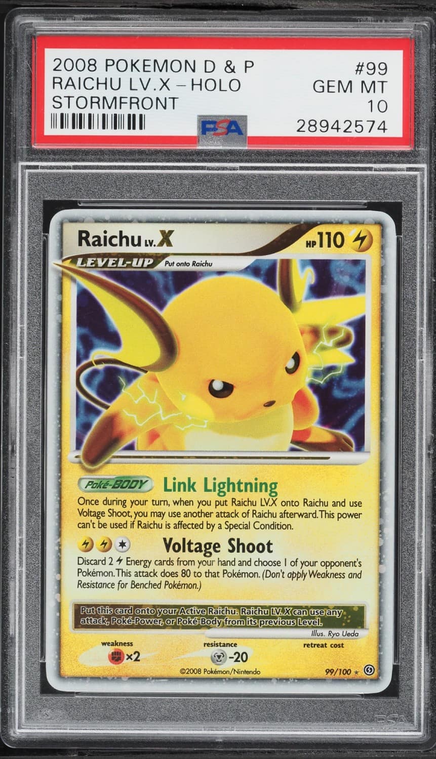Raichu Lv X