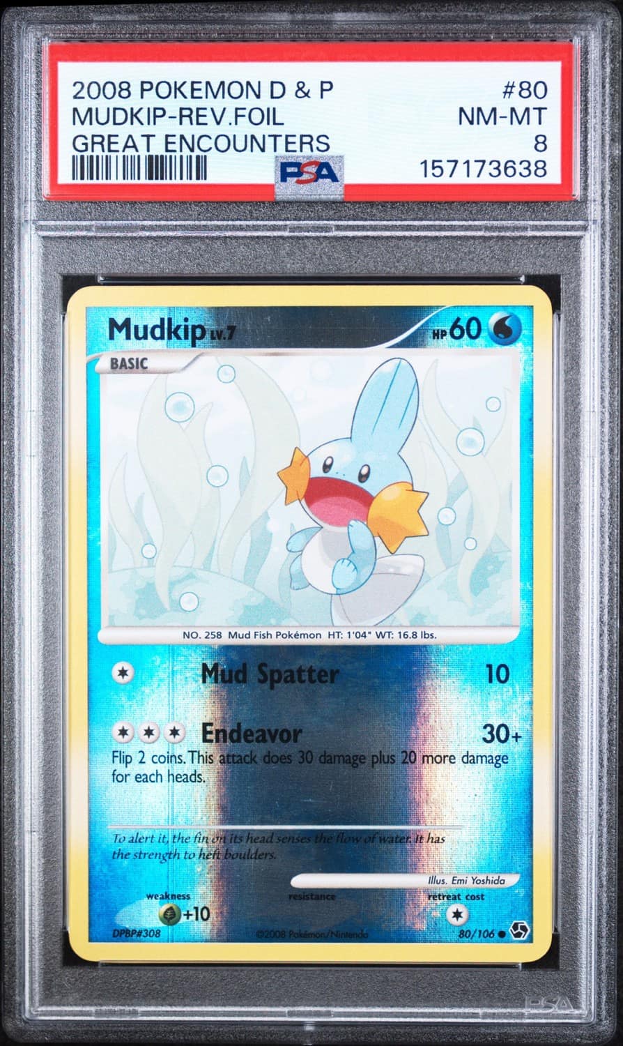 Mudkip