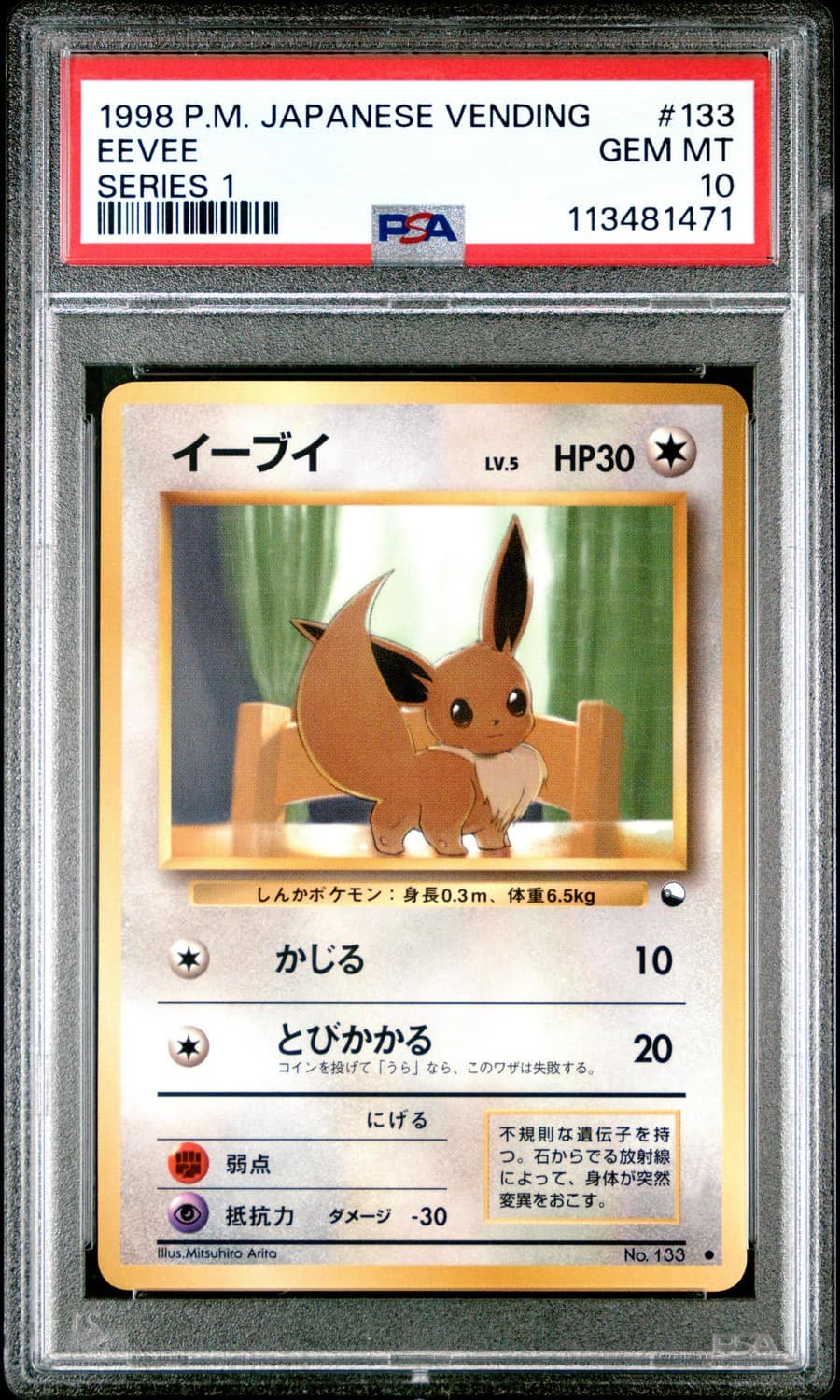 Eevee