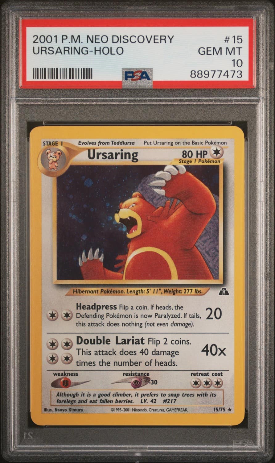 Ursaring