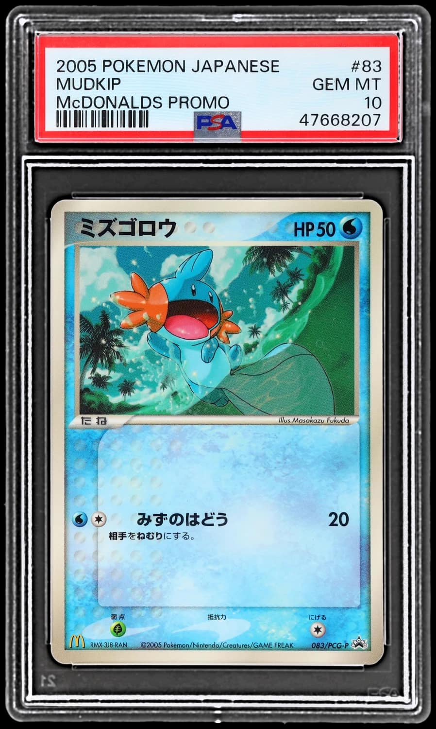 Mudkip