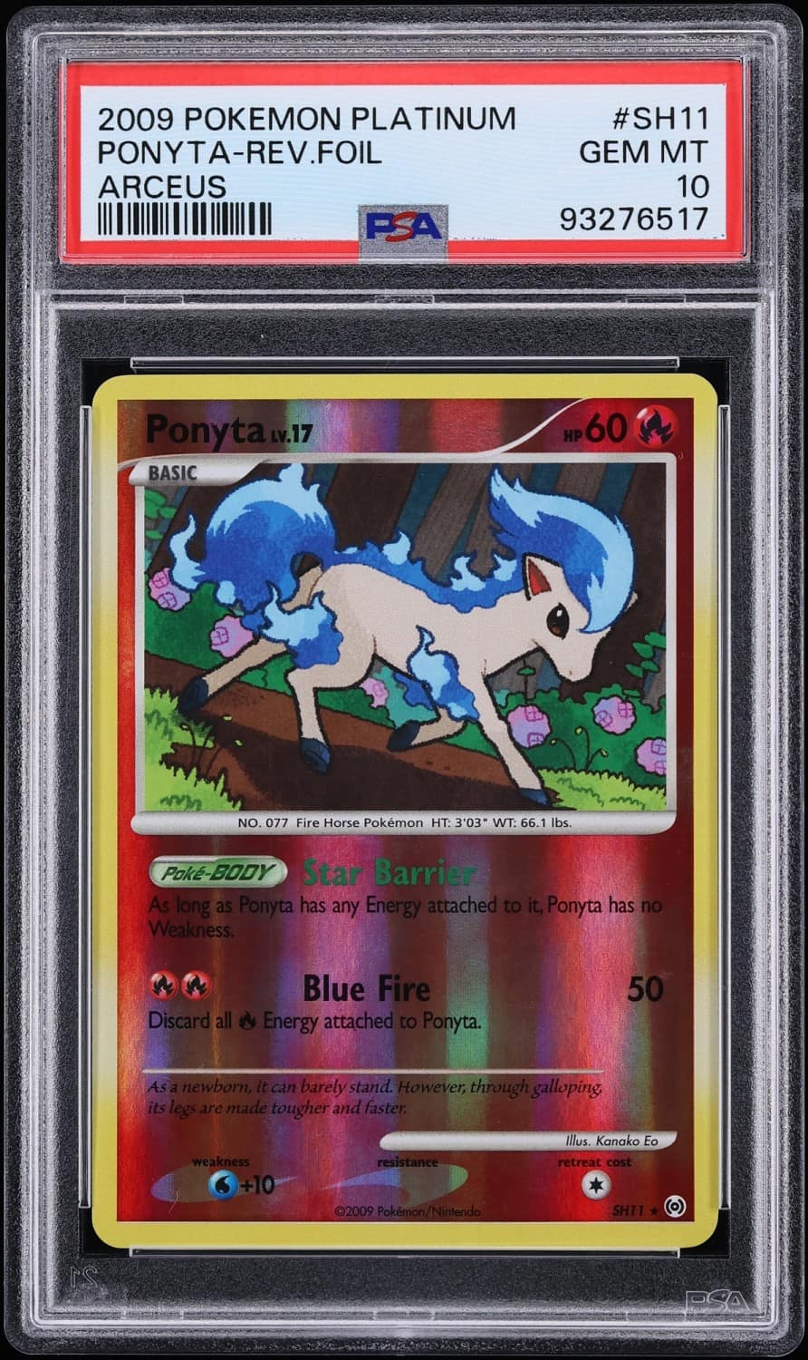 Ponyta