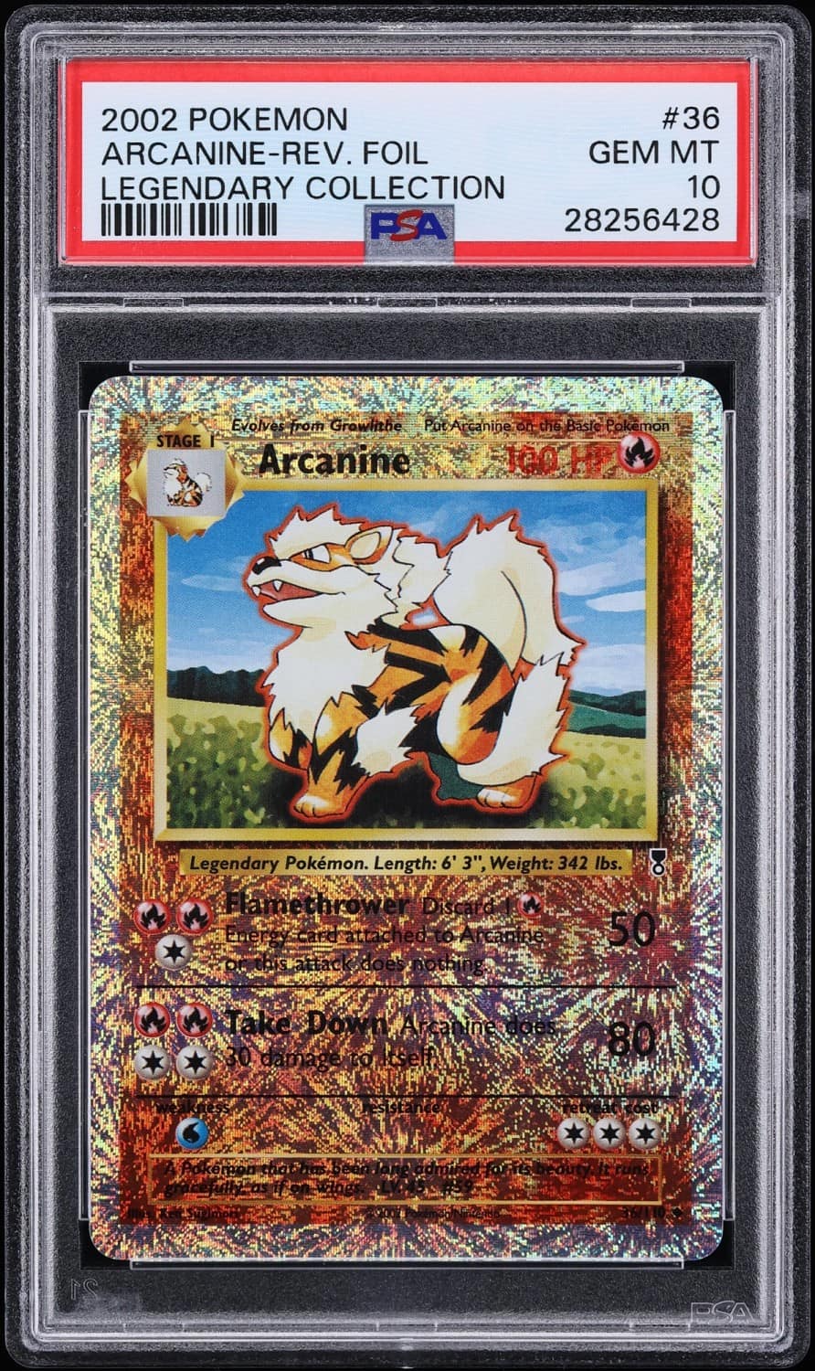Arcanine