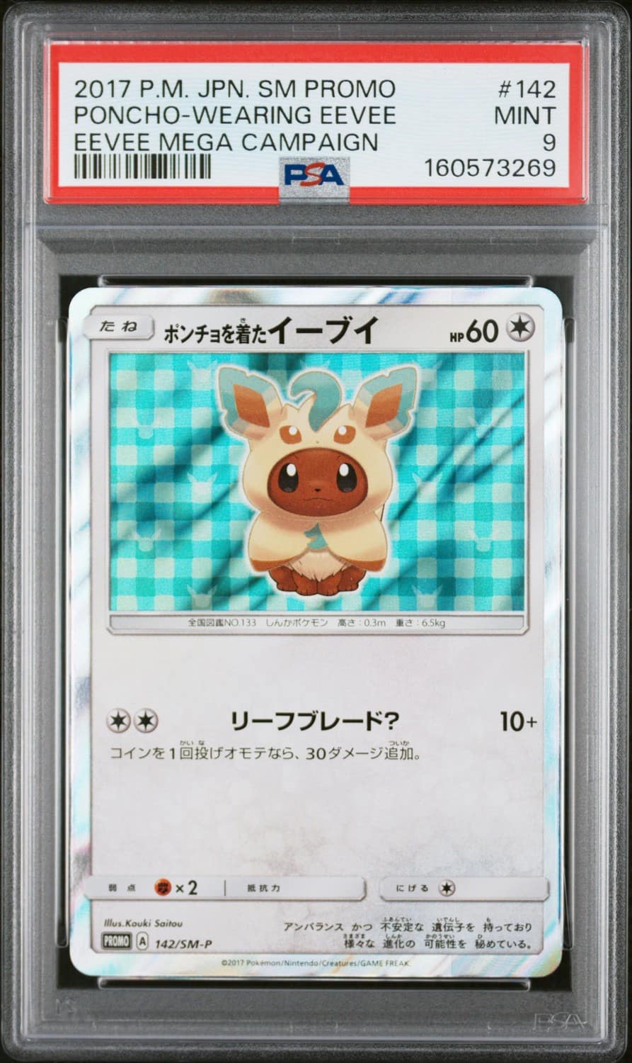 Poncho-Wearing Eevee