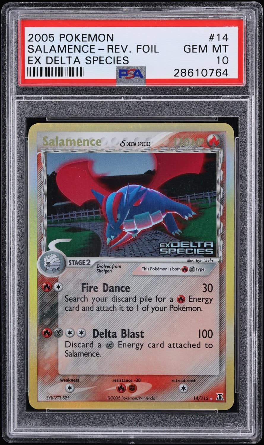 Salamence