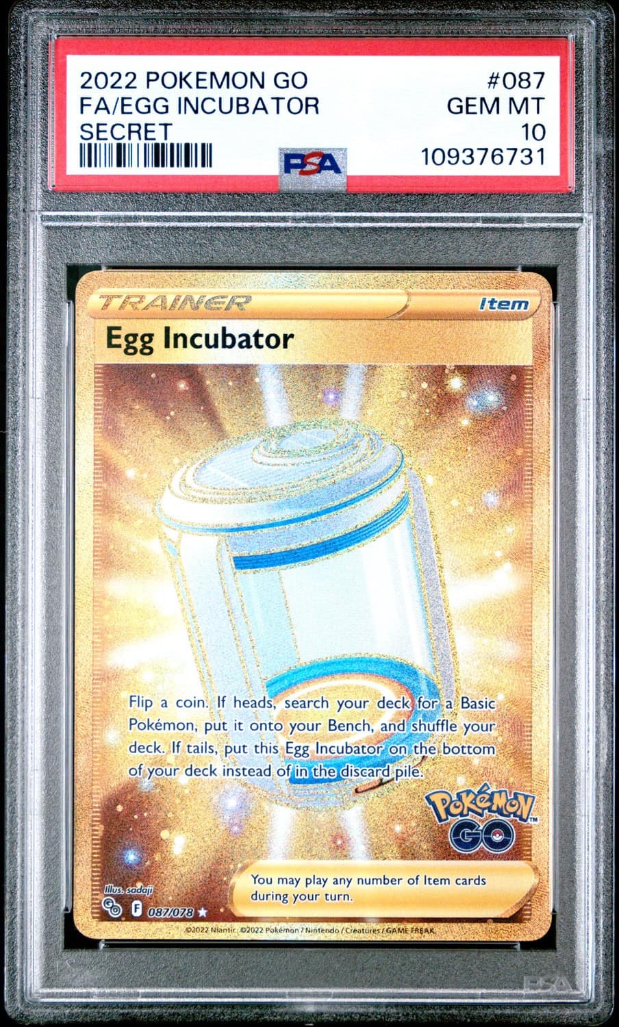 Egg Incubator