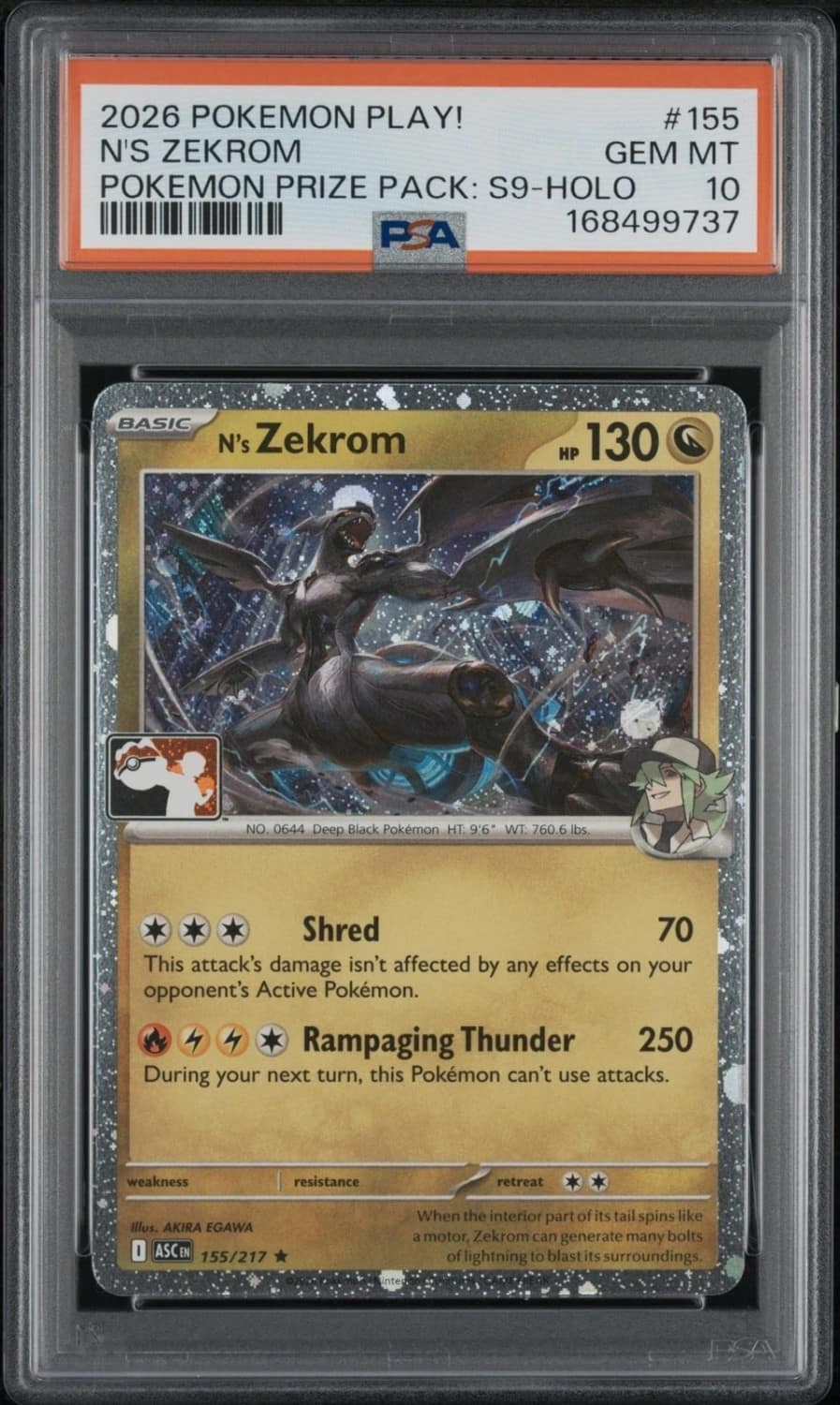 N'S Zekrom