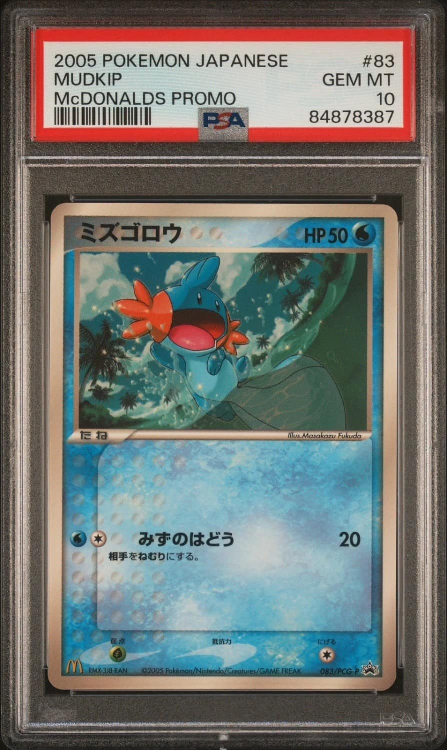 Mudkip