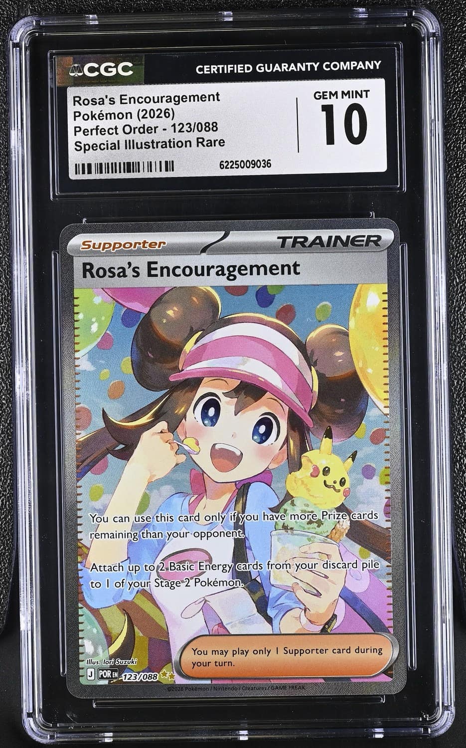 Rosa'S Encouragement