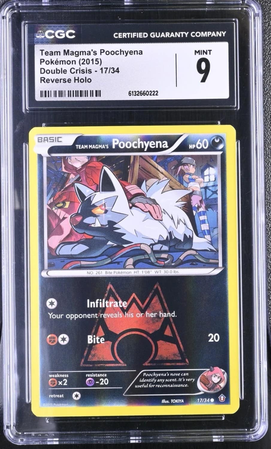 Team Magma'S Poochyena