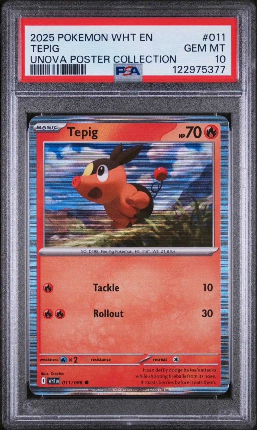 Tepig
