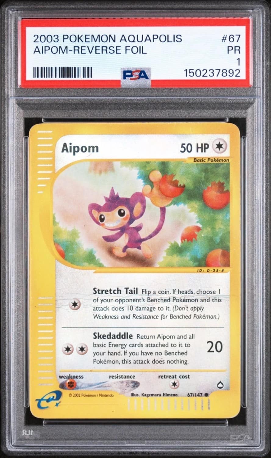 Aipom