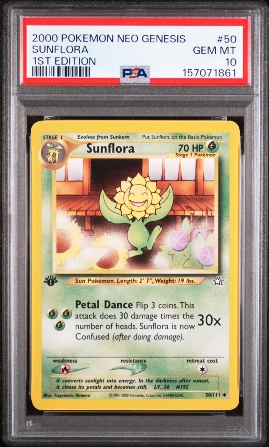 Sunflora
