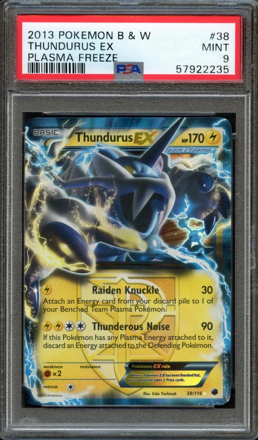 Thundurus Ex