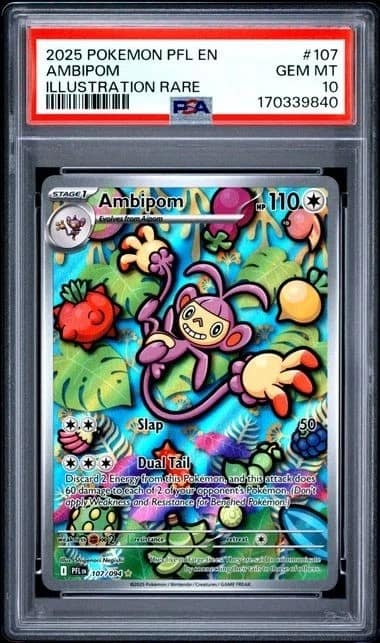 Ambipom