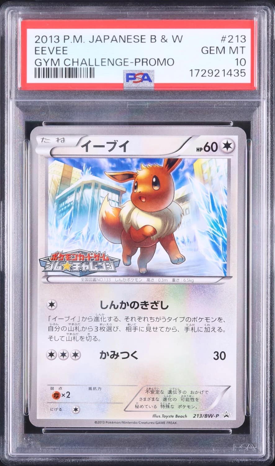 Eevee