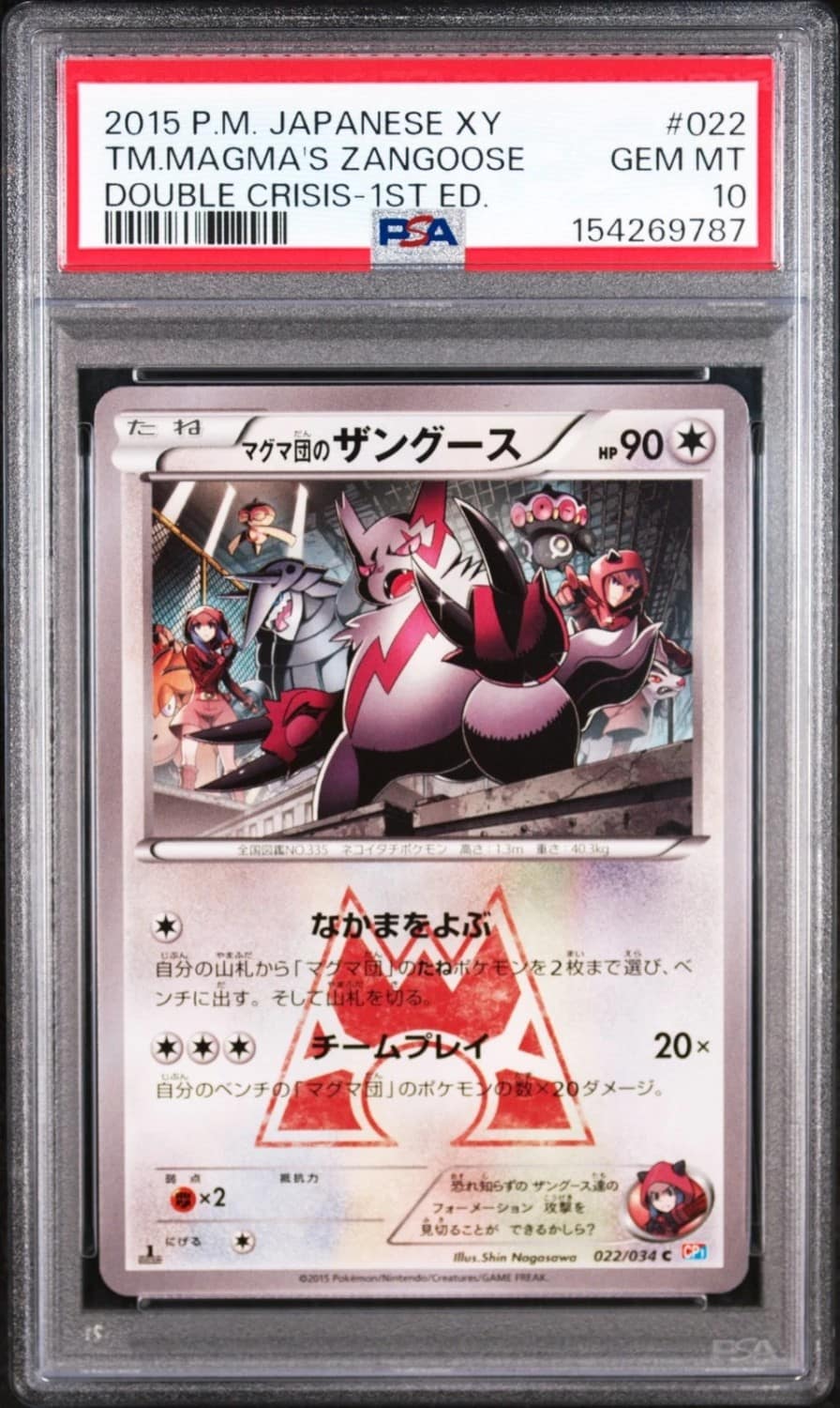 Tm.magma'S Zangoose